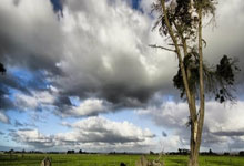 PG游戏-包含Karsa爆冷击败塞尔维亚队，突破纪录引爆全场！的词条